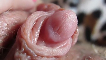 Intense Close-Up View Of My Throbbing And Enlarged Clitoris Head