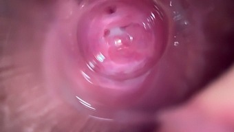 Intense Close-Up Of Petite Teen'S Wet And Tight Pussy